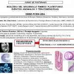 Curso BDEP-2019