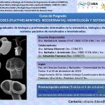 Curso SIBIPOA 2019