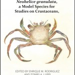 Neohelice Portada