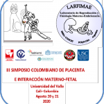Imagen1