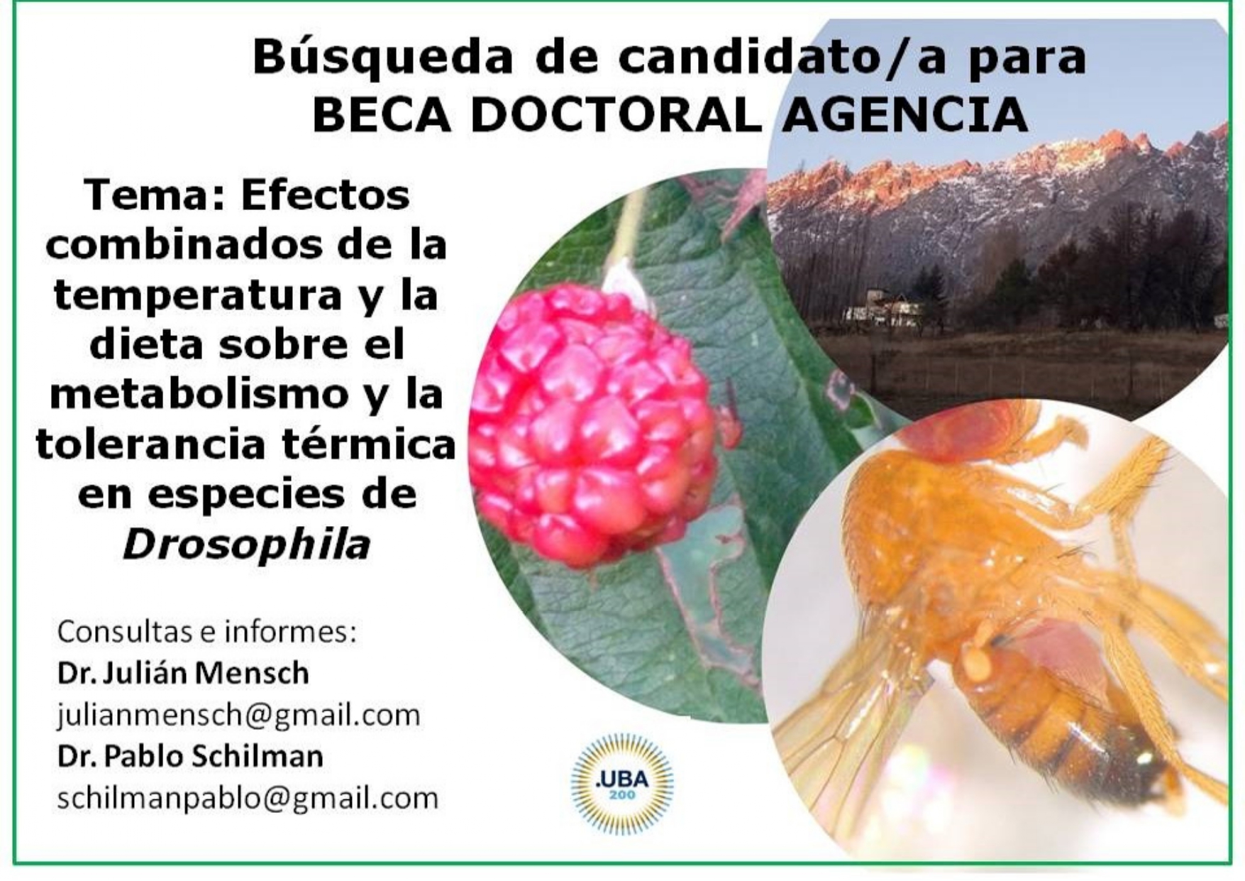 Beca Doctoral Agencia_page-0001
